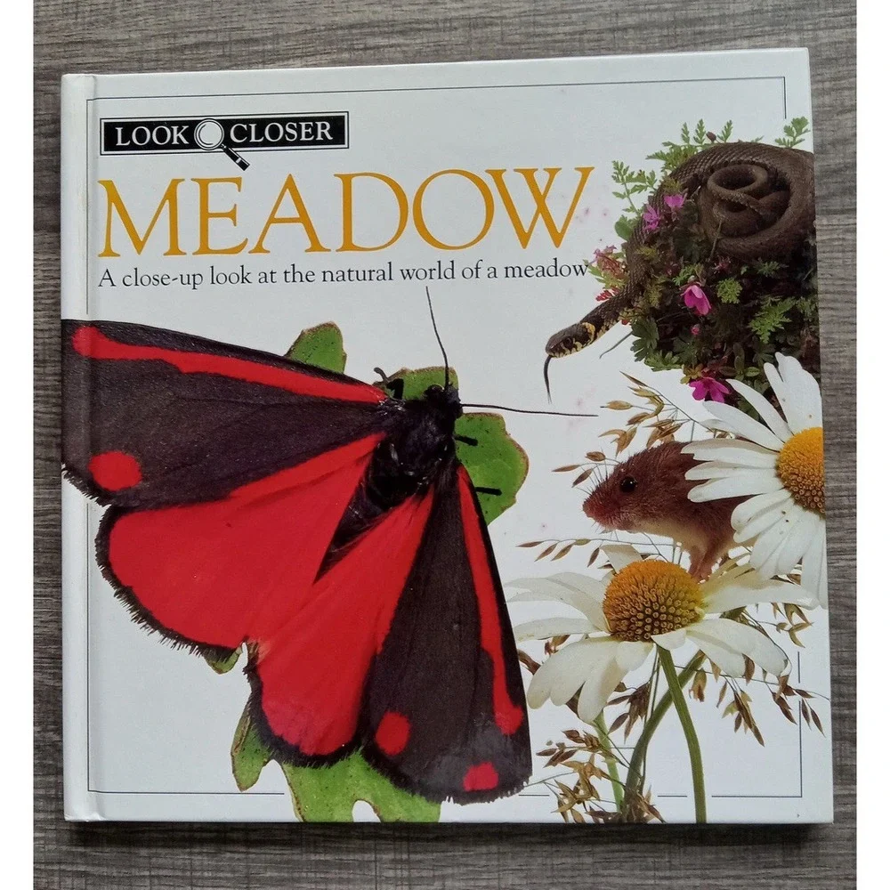 Meadow (Look Closer) Book By Barbara‎ Taylor Hardcover